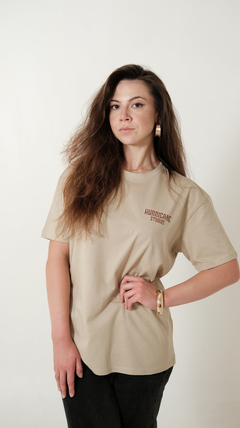 Short-Sleeve T-Shirt / Shiroi Hayabusa / Wet Sand